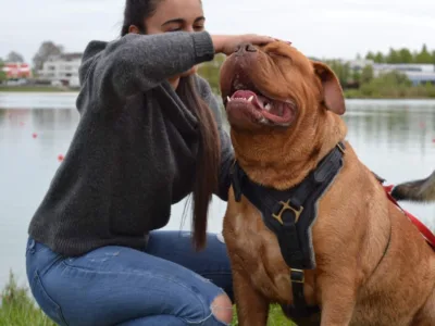 Pet sitter