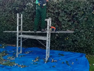 Jardinier a petit prix