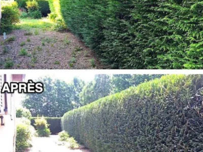 Jardinier