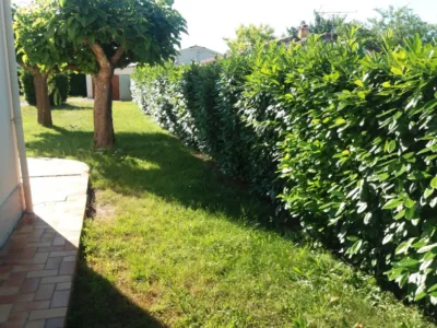 Jardinier
