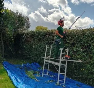 Entretien espaces verts