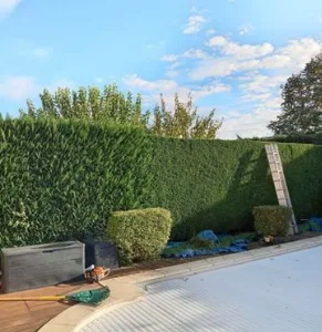 Jardinage 19ans expérience